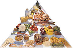 nutrition food